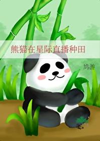 直播种田养猫猫星际