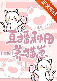 种田直播晚惊呆全公司