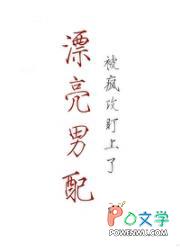 漂亮男配被疯攻盯上之后笔趣阁最新