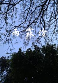 主角叫雨霖婞的
