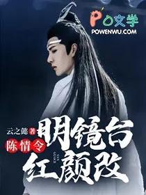 陈情令之水镜