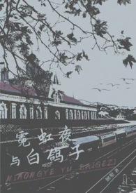霓虹夜晚全集