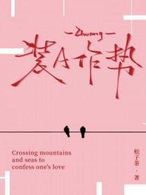 装a作势讲了什么内容