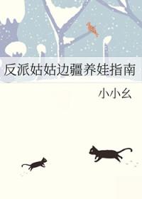 反派小姑子