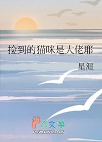 捡了个小猫