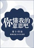 你懂我的意思了吗