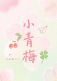 小青梅无防盗