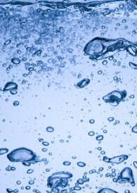 向生而死的意思