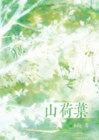 山荷叶百科
