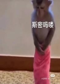 泡芙小姐角色