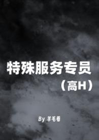 特殊服务意思