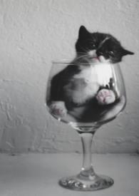 哒哒拼软件是诈骗吗