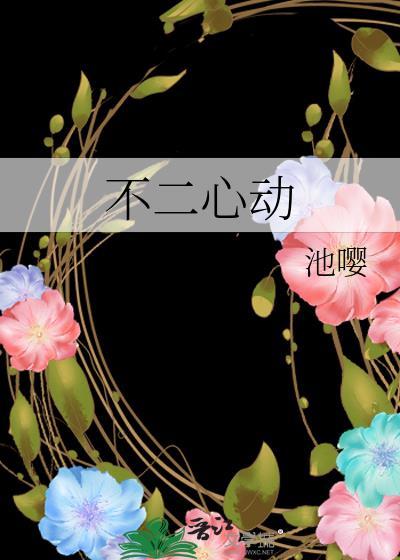 不二心动全集TXT