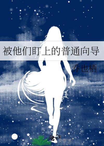 他们盯上的普通向导TXT免费