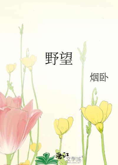 野望什么意思