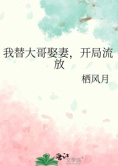 我替我哥娶了那个