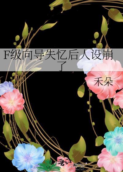 我是F级向导