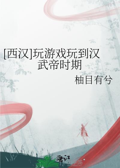 汉武帝时的游侠