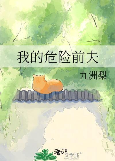 我的危险夫人