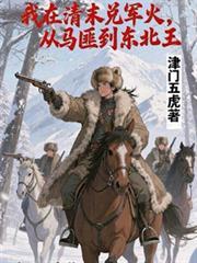 从马匪到东北王顶点