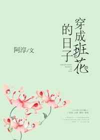 穿成班花的日子txt书包网