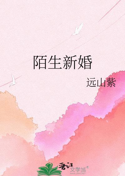 新婚陌生人