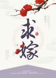 求嫁淼淼金