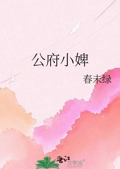 公府小婢讲了什么