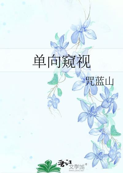 单向视觉流程包括哪几类