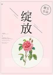 绽放歌词