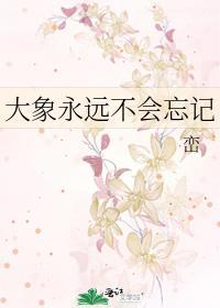 大象会不会忘记