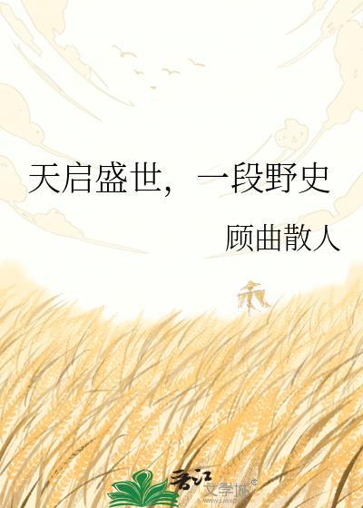天启盛世一段野史无防盗在线阅读