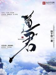 道君蒲地蓝消炎片